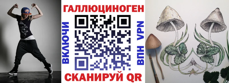 даркнет сайт  Заволжск  Псилоцибиновые грибы Psilocybe 
